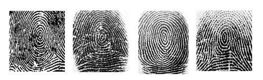 CW- Concentric fingerprint