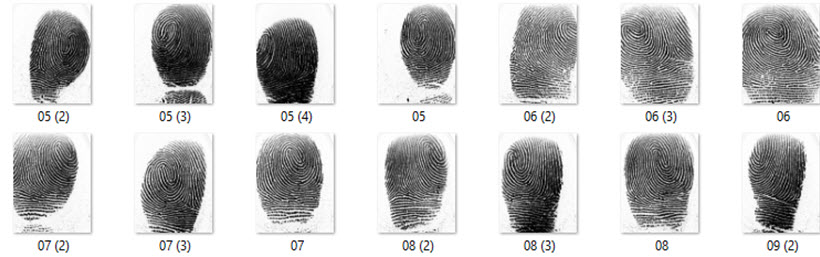 Dr.fingerprint