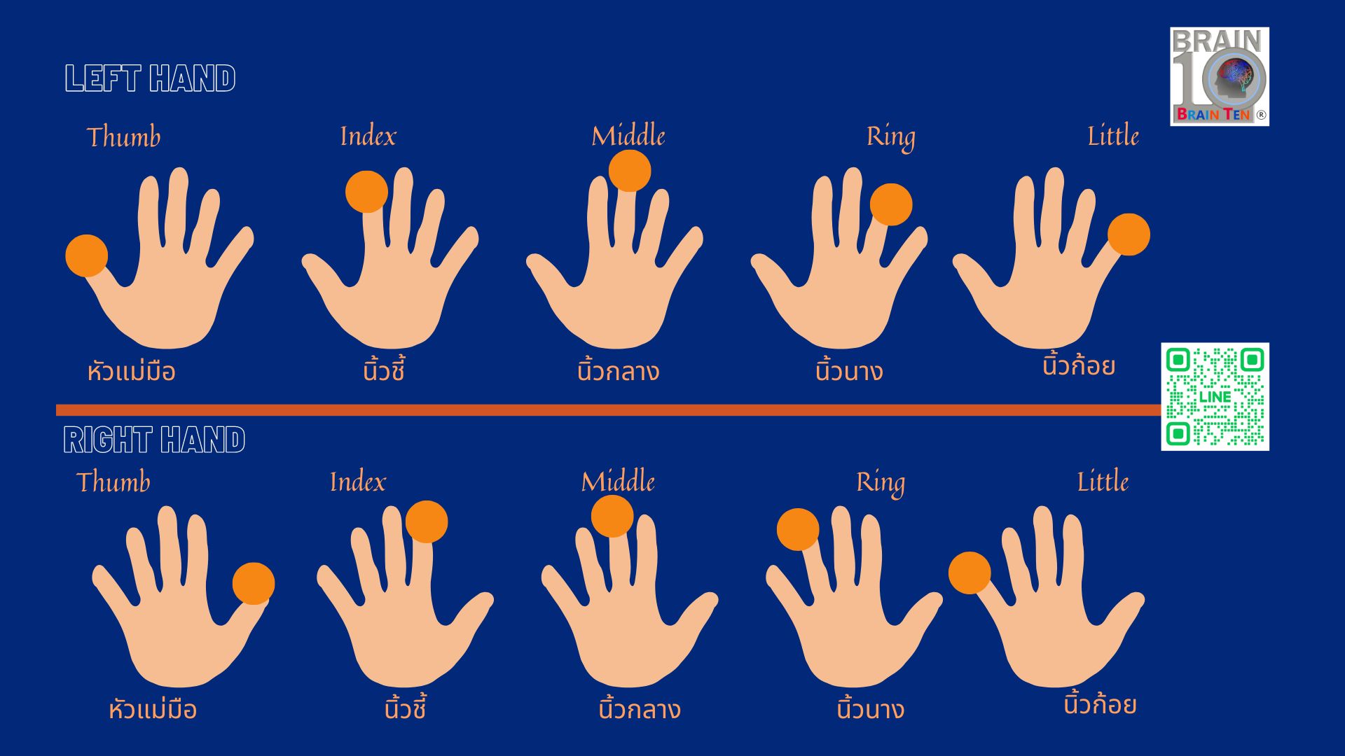 ภาพลายนิ้ว 10 นิ้ว